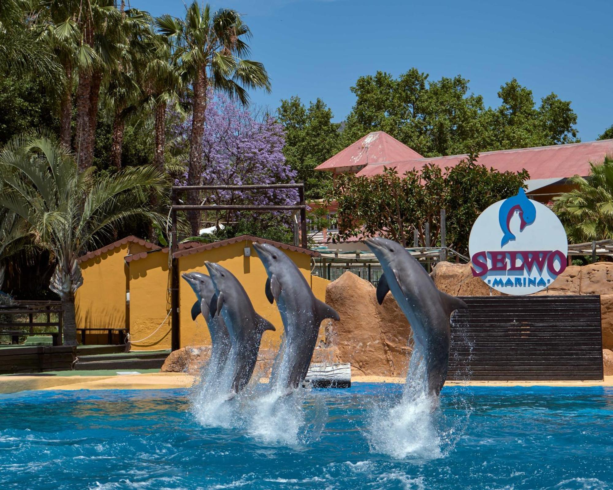 Apart With Swimming Pool Open All Year Benalmádena Exterior foto